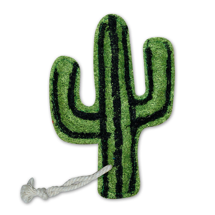 Loofah-Art Cactus