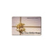 $100 Gift Card