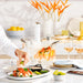 Breville the Joule Turbo Sous Vide