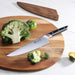 Cangshan AKKA Series Forged 8" Chef's Knife with Sheath