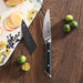 Cangshan HELENA Series German Steel Forged 3.5" Black Paring Knife w/ Sheath
