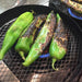 Flavors Of The Southwest - Hot Off The Grill Saturday, July 18 at 10 AM