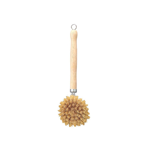 HIC Kitchen Natural Bristle Veggie and Dish Scrub Brush