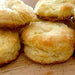 High Altitude Baking Workshop Friday, September 4 at 10 AM