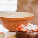 Mason Cash Home To Roost Orange Mixing Bowl S24