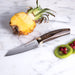 Messermeister Kawashima 3.5" Paring Knife