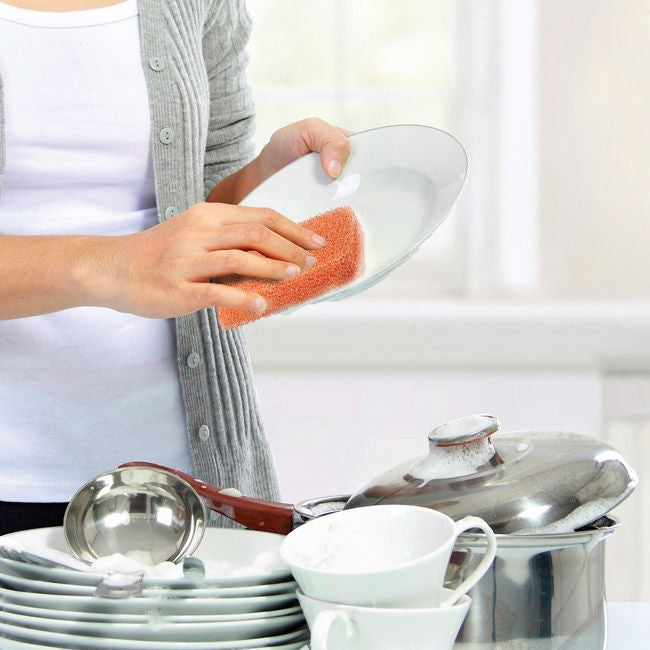 Peachy Clean Dish Scrubber