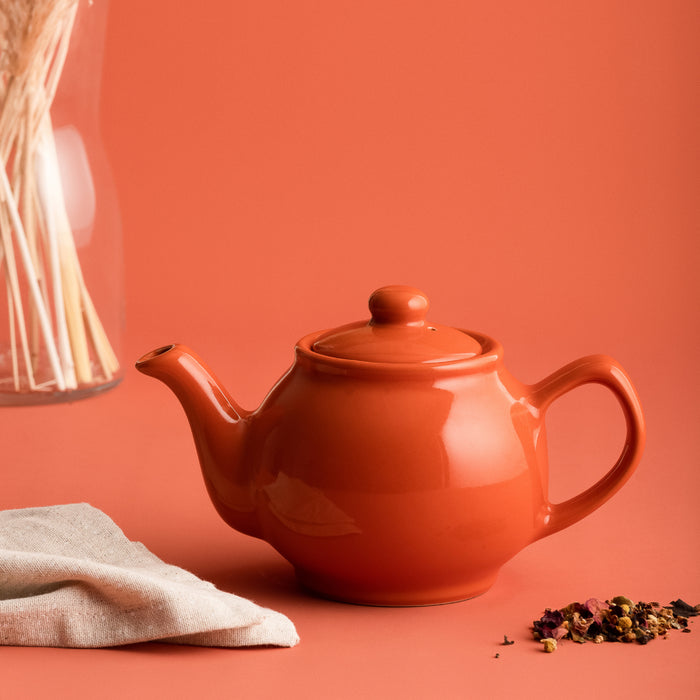 Price & Kensington Burnt Orange 2 Cup Teapot
