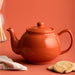 Price & Kensington Burnt Orange 6 Cup Teapot