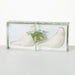 Vance Kittira Glazed Bird Candles, Set of 2