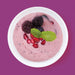 Zoku Slush & Shake Maker Purple